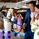 Illustration for article titled Hey, Assholes: You Do Not Need an Exotic Animal at Your Wedding